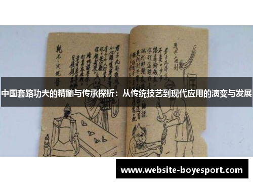 中国套路功夫的精髓与传承探析：从传统技艺到现代应用的演变与发展