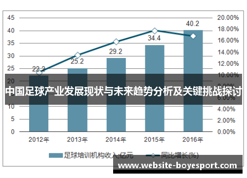中国足球产业发展现状与未来趋势分析及关键挑战探讨